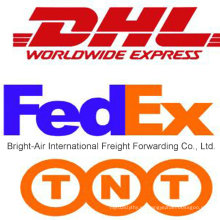 Entrega económica de DHL UPS TNT Express de China a Bolivia